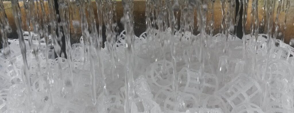 ¿Que empresa estas buscando?